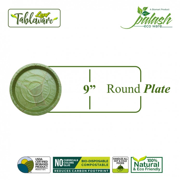 Palash - 9" Shallow Round Dinner Plate